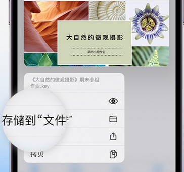 巩义apple维修中心分享iPhone文件应用中存储和找到下载文件