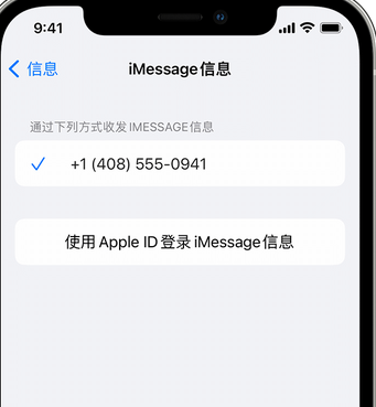 巩义apple维修iPhone上无法正常发送iMessage信息 