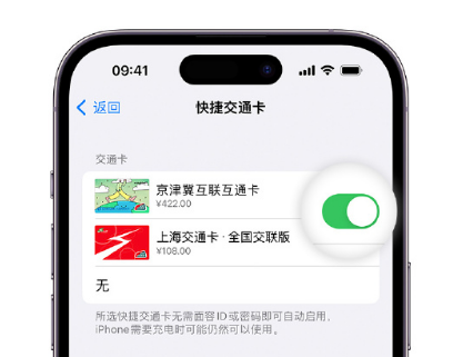 巩义apple维修点分享iPhone上更换Apple Pay快捷交通卡手绘卡面 