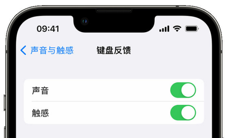 巩义苹果手机维修分享iPhone 14触感键盘使用方法 