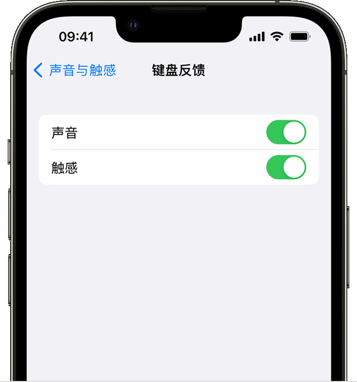 巩义苹果14维修店分享如何在 iPhone 14 机型中使用触感键盘 