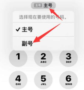 巩义苹果14维修店分享iPhone 14 Pro Max使用副卡打电话的方法 