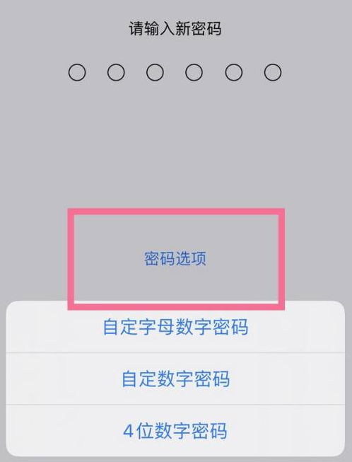 巩义苹果14维修分享iPhone 14plus设置密码的方法 