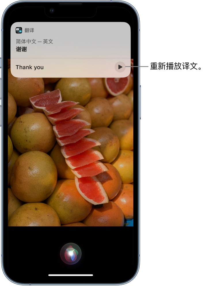 巩义苹果14维修分享 iPhone 14 机型中使用 Siri：了解 Siri 能帮你做什么 